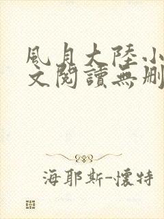 风月大陆小说全文阅读无删减