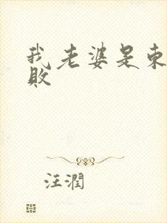 我老婆是东方不败
