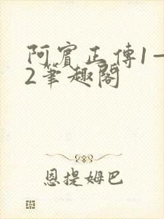 阿宾正传1—72笔趣阁封面