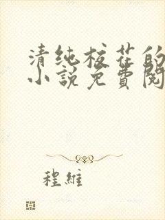 清纯校花的秘密小说免费阅读