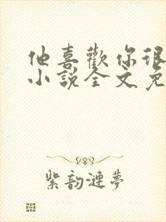 他喜欢你很久了小说全文免费阅读封面