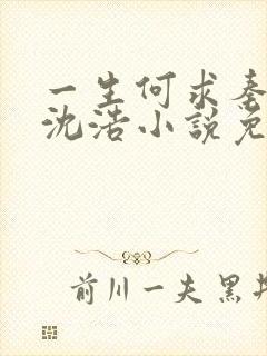 一生何求秦菲雪沈浩小说免费阅读全文笔趣阁封面