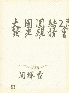大团圆结2闪闪发光亲情会