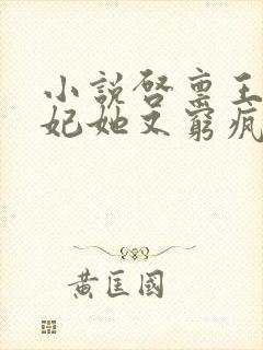 小说启禀王爷王妃她又穷疯了