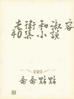 老卫和淑容1-40集小说