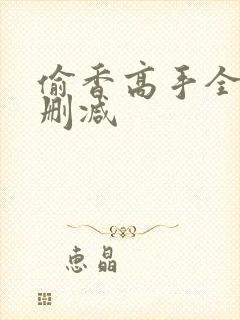 偷香高手全文无删减封面