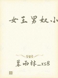 女王男奴小说