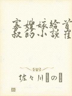 寡嫂嫁给首辅小叔的小说崔