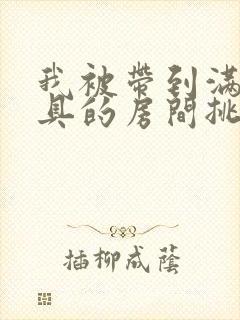 我被带到满是玩具的房间挑调作文