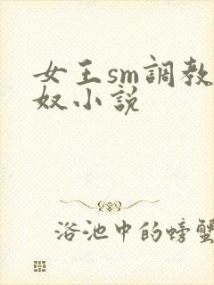 女王sm调教男奴小说