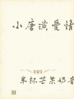 小唐璜爱情历史