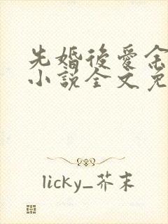 先婚后爱余慧慧小说全文免费阅读