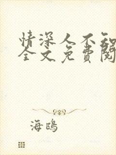 情深人不知小说全文免费阅读