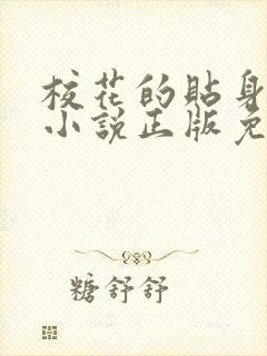 校花的贴身高手小说正版免费