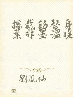 总裁的替身前妻叶非墨温暖全文免费阅读