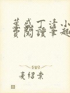 叶盛丁清小说免费阅读笔趣阁
