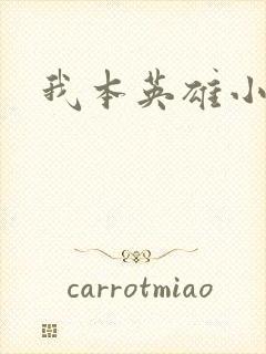 我本英雄小说