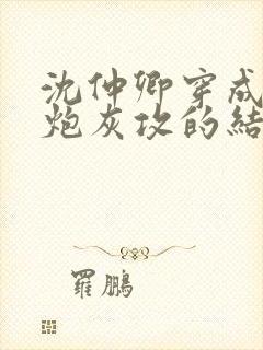 沈仲卿穿成反派炮灰攻的结局