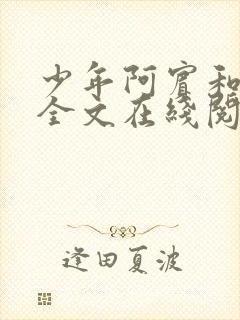 少年阿宾和房东全文在线阅读