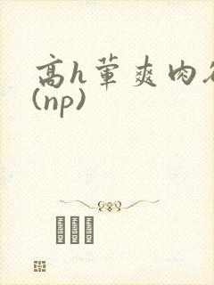 高h荤爽肉欲文(np)