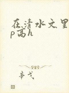 在清水文里被np高h