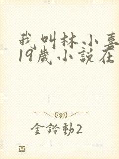 我叫林小喜今年19岁小说在线阅读全文
