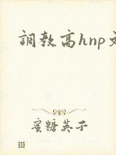 调教高hnp文