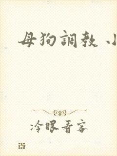 母狗调教 小说封面