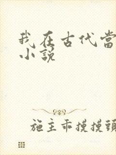 我在古代当王爷小说
