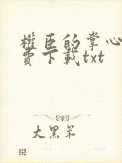 权臣的掌心宠免费下载txt