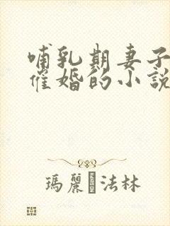 哺乳期妻子被借催婚的小说