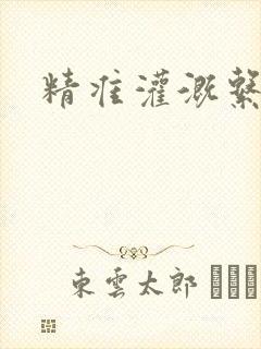 精准灌溉系统