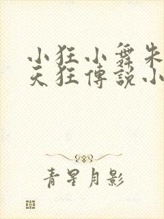 小狂小舞朱竹清天狂传说小说