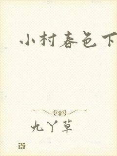 小村春色下载