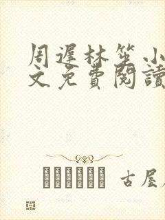周迟林笙小说全文免费阅读封面