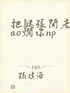 把腿张开老子cao烂你np