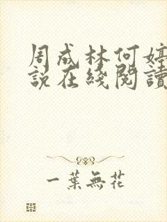 周成林何婷婷小说在线阅读