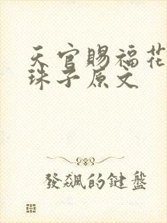 天官赐福花怜塞珠子原文封面