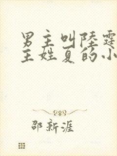 男主叫陆霆琛女主姓夏的小说