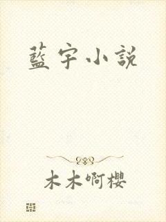 蓝宇小说