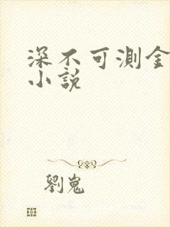 深不可测金银花小说