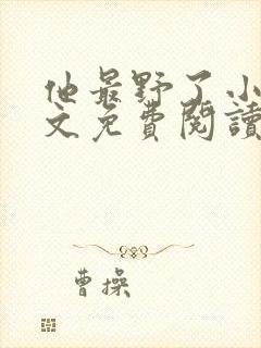 他最野了小说全文免费阅读无弹窗