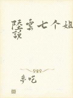 陆云七个姐姐小说
