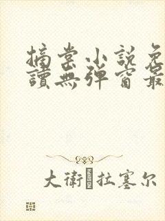 摘棠小说免费阅读无弹窗最新章节