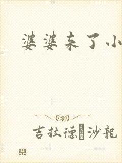 婆婆来了小说