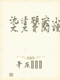 沈清顾安小说全文免费阅读