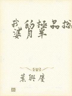 我的极品总裁老婆月半
