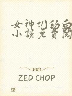 女神们的白月光小说免费阅读