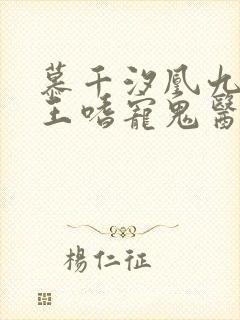 慕千汐凰九夜邪王嗜宠鬼医狂妃