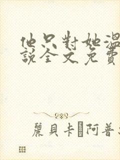 他只对她温柔小说全文免费阅读封面